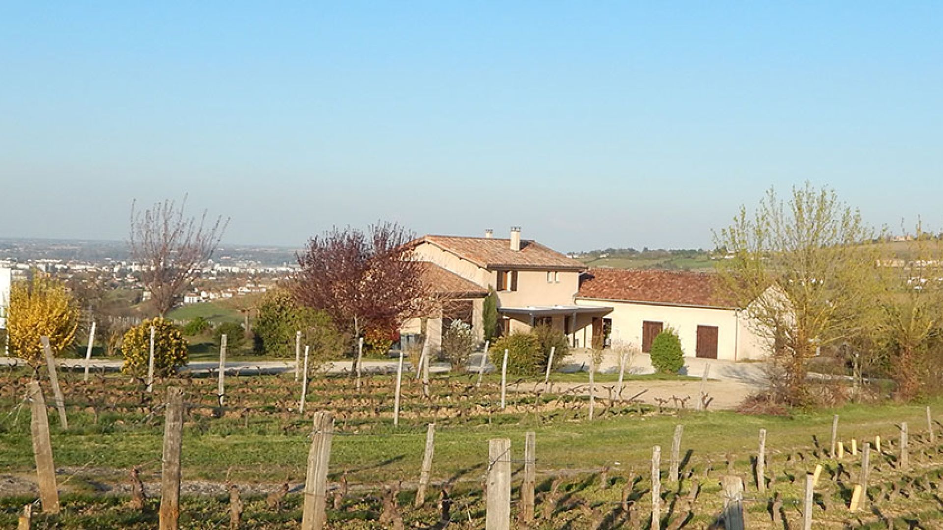 Domaine Berger des Vignes